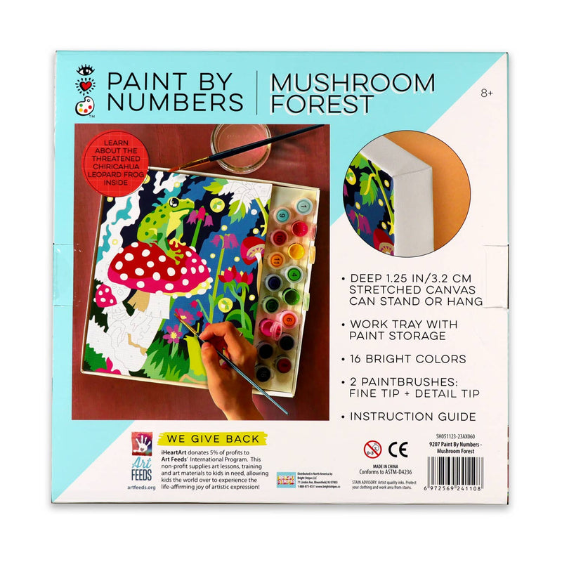 Paint By Numbers, Frog & Mushroom