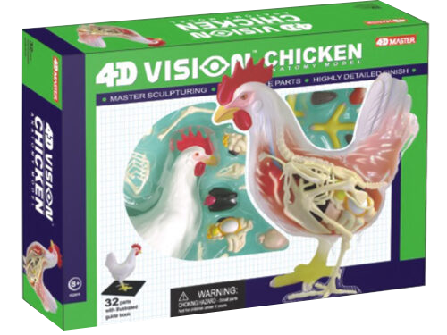4D Chicken
