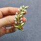 PEARL LEAF