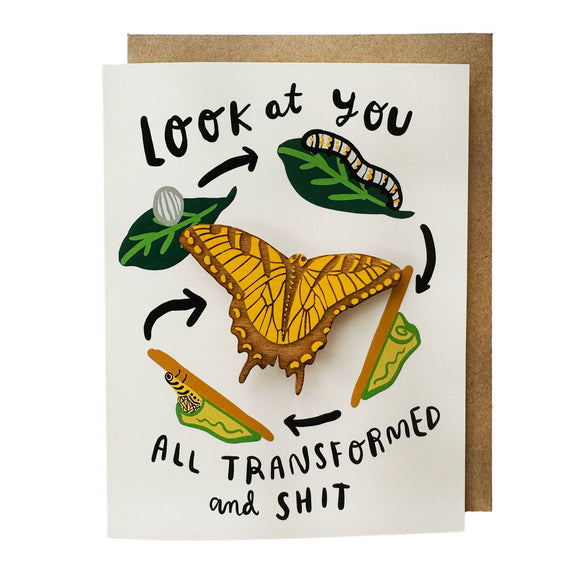 Pic of the Life-cycle - Butterfly Magnet w/Card""