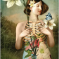 Tarot of Mystical Moments Borderless Miniature Edition
