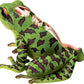 Green frog toy with open mouth on a white background