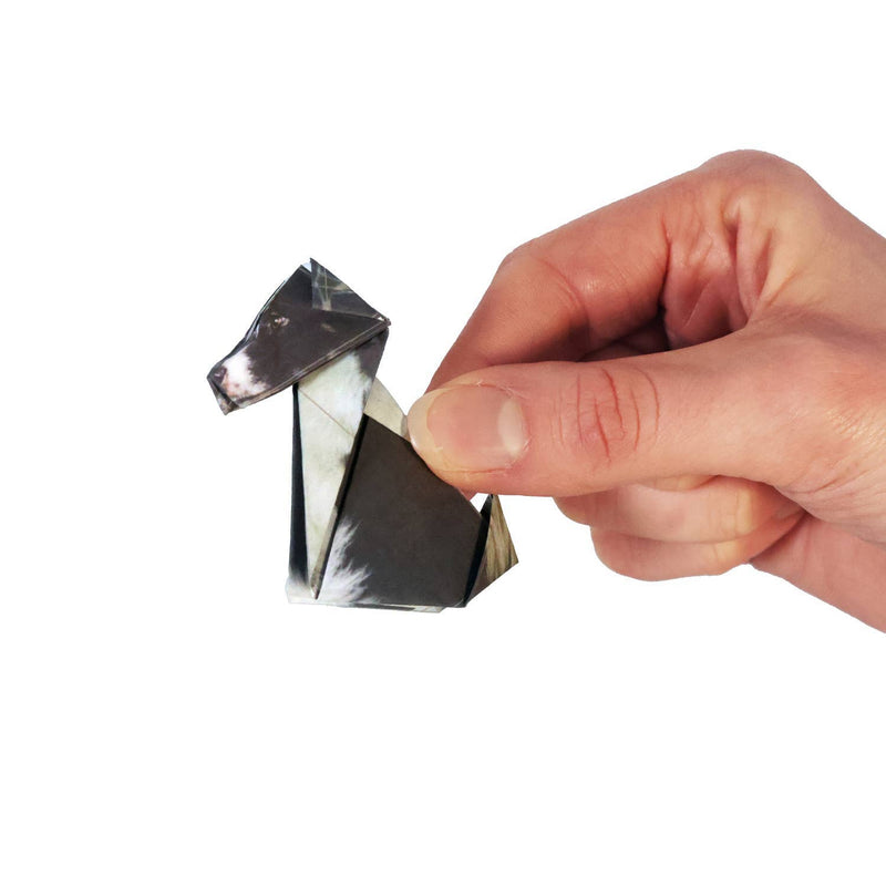 Origami Kit, Paper Pups