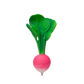 Ramona the Radish