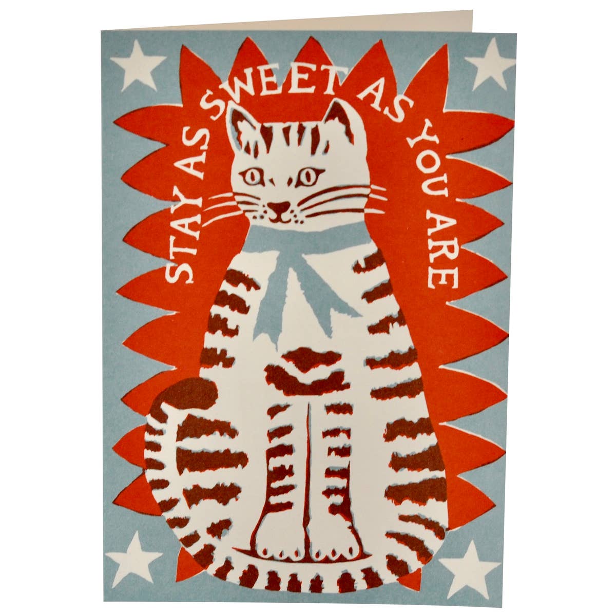 Very Large Card, Sweet Cat