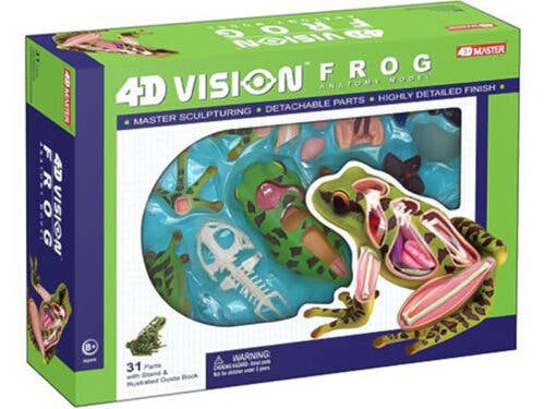 4D Vision Frog
