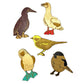 Birds Gone Wild - Tits and Boobies - Set of 5 Magnets