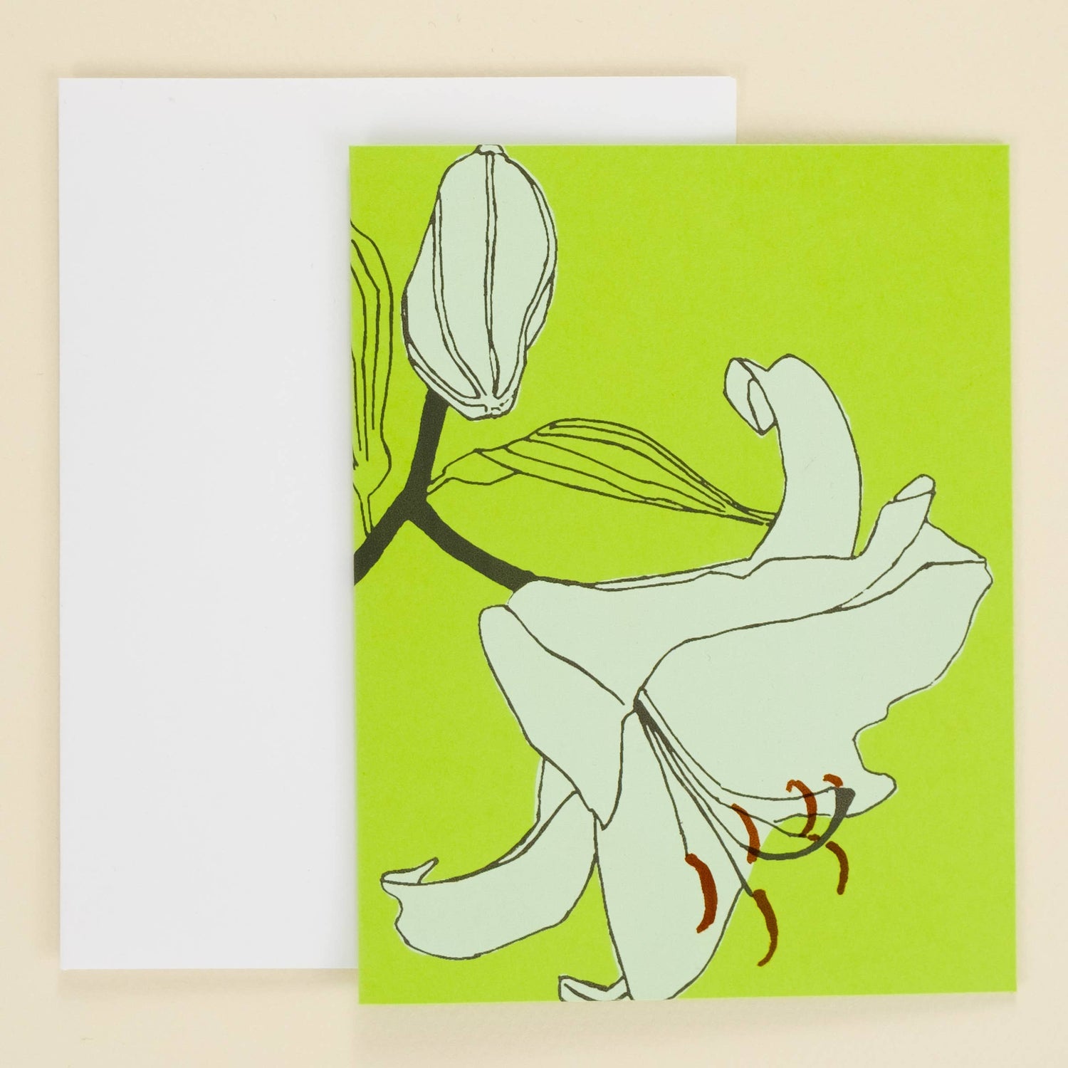 Casablanca lily card