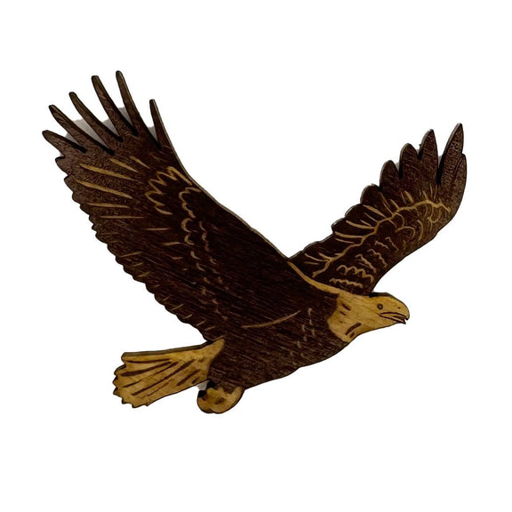 Pic of the Bald Eagle Magnet""