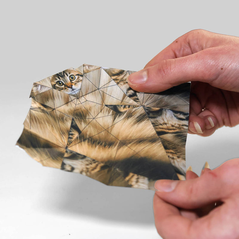Origami Kit, Paper Cats