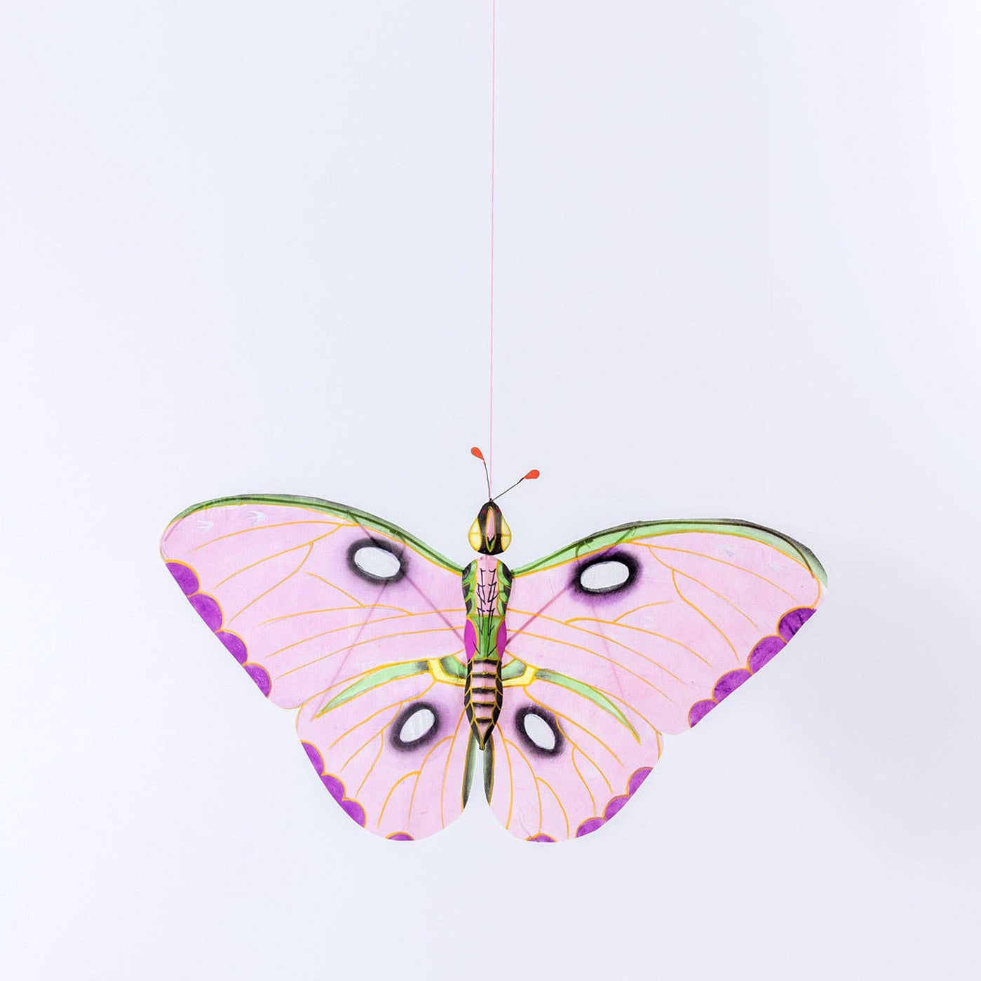 Butterfly-shaped decoration on a white background