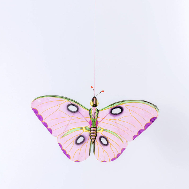 Butterfly-shaped decoration on a white background