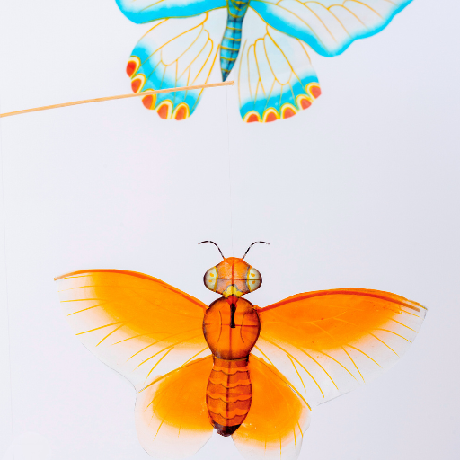 Two butterfly-shaped objects, one blue and one orange, on a white background.