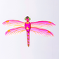 Colorful dragonfly illustration on a white background