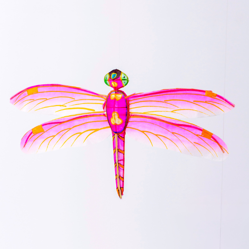 Colorful dragonfly illustration on a white background