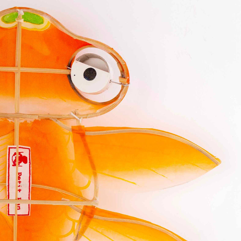 Decorative fish-shaped lantern with a white background