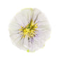 Paper Decor, Flowers