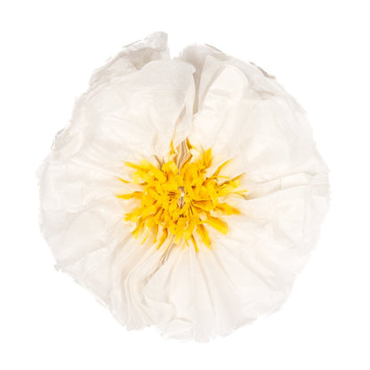 Paper Decor, Flowers