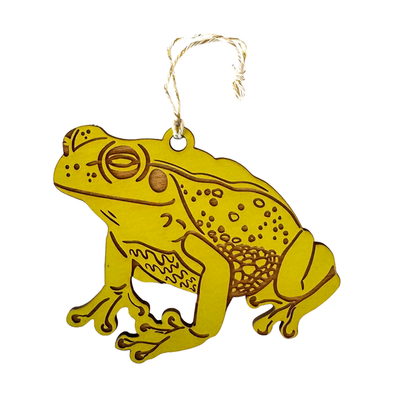 Pic of the &quo;Frog Ornament&quo;