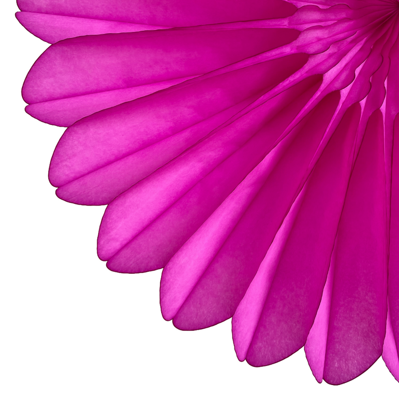 Tissue Fanburst Decoration, Cerise