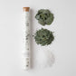 SEA SALT+EUCALYPTUS SOAK