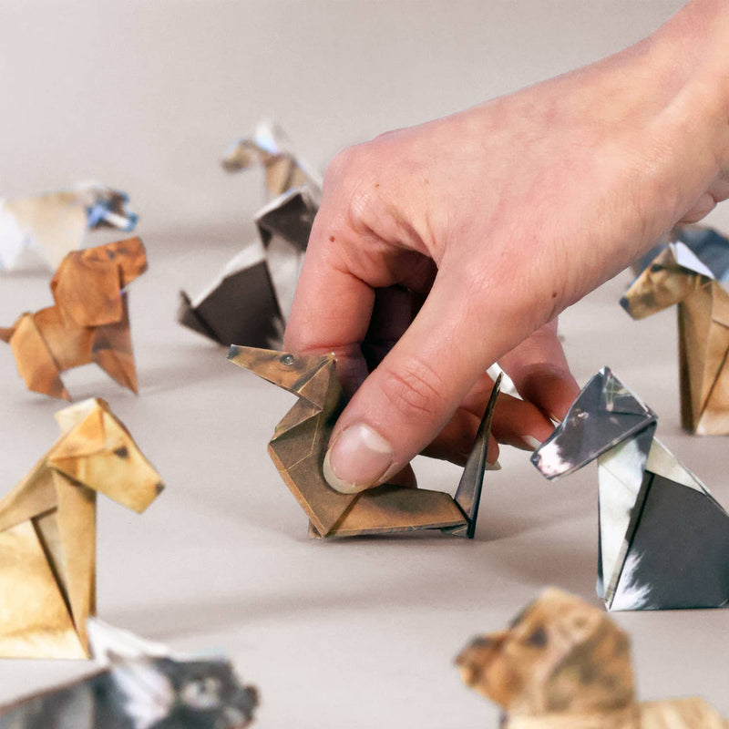 Origami Kit, Paper Pups
