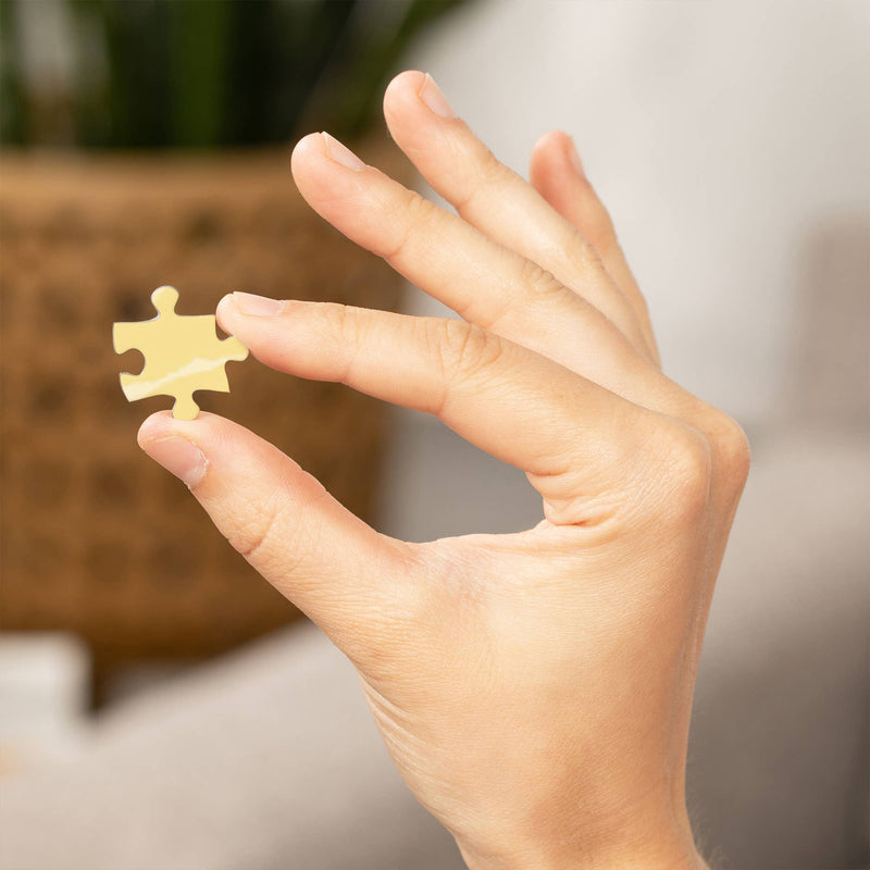 Bridges of Portland Puzzle