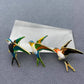 SWALLOW BIRD