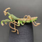 Rhinestone Mantis
