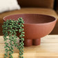 Compote Bowl - Large