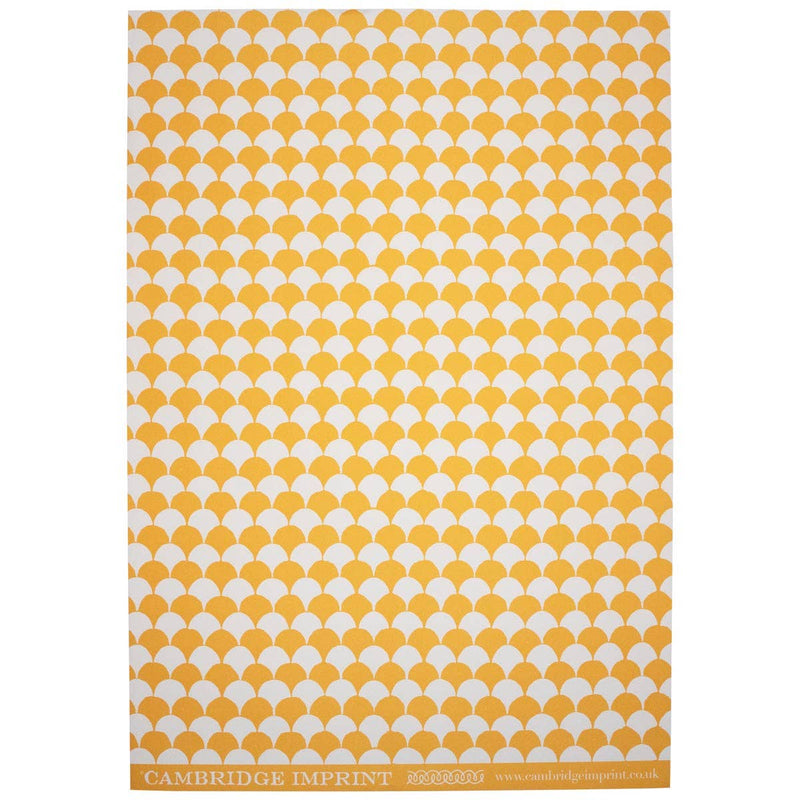 Patterned Paper Clamshell Transparent Orange