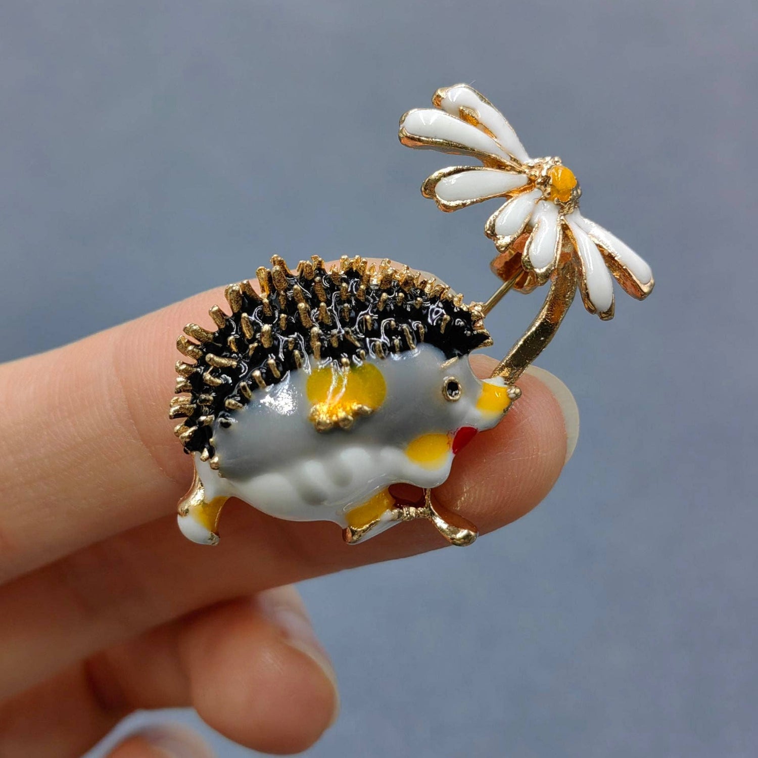 HEDGEHOG DAISIES