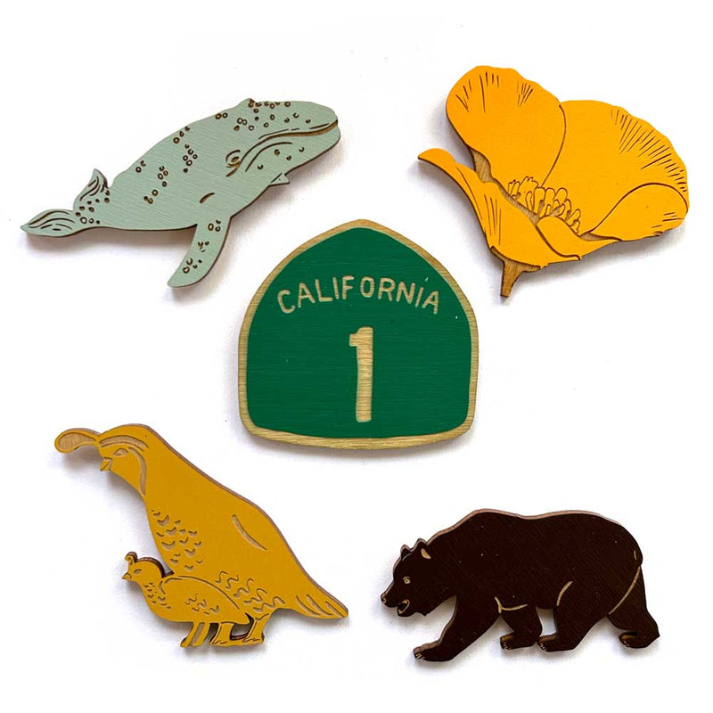 Awesome California - Set of 5 Magnets