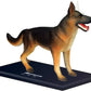 4D German Shepard Dog