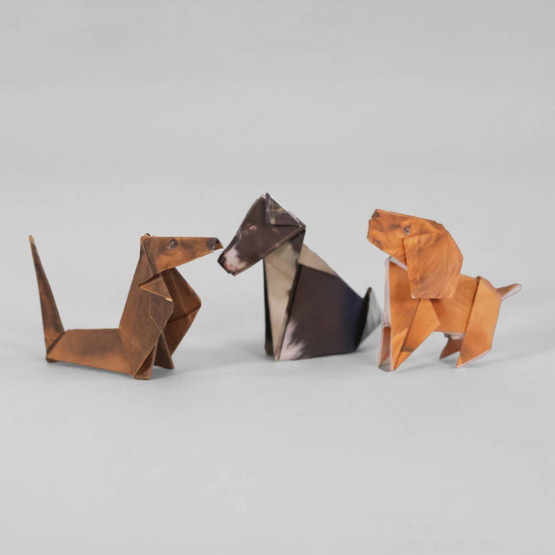 Origami Kit, Paper Pups