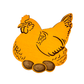 Backyard Birds - Chicken - Set of 5 Magnets