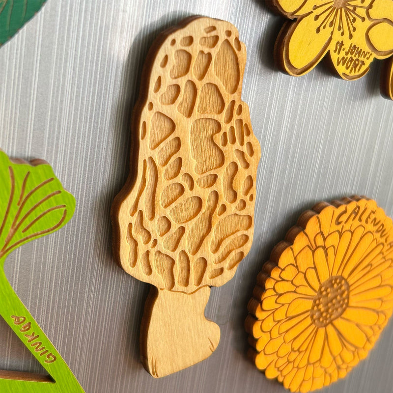 Morel Mushroom Magnet