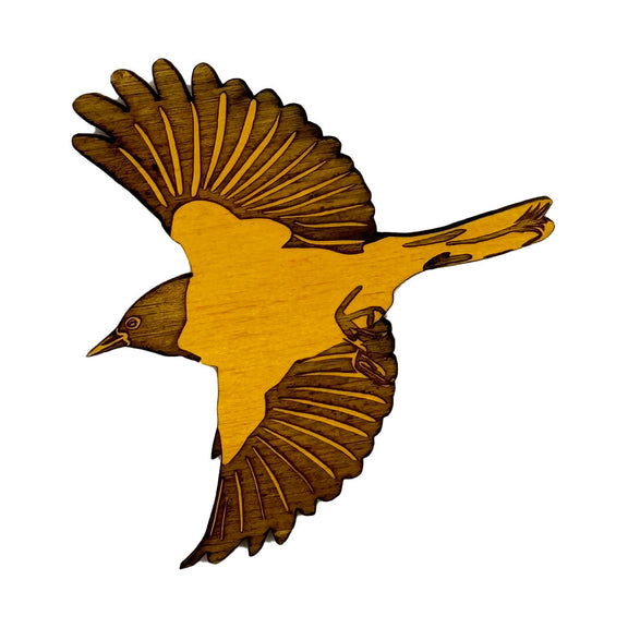Pic of the Oriole Magnet""