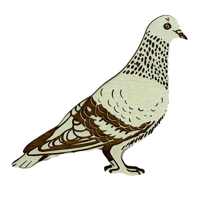Pic of the Pigeon Magnet""