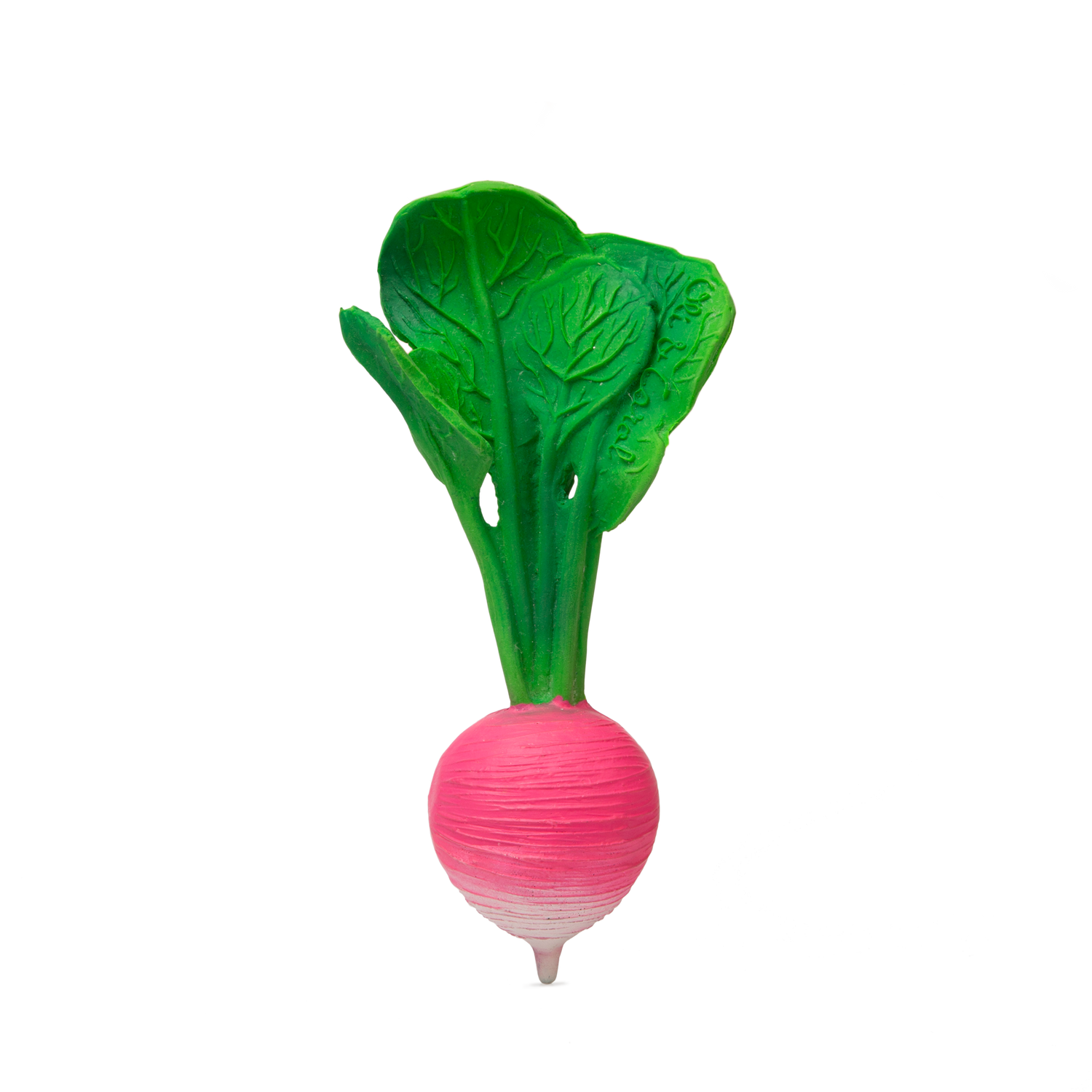 Pink radish with green leaves on a white background