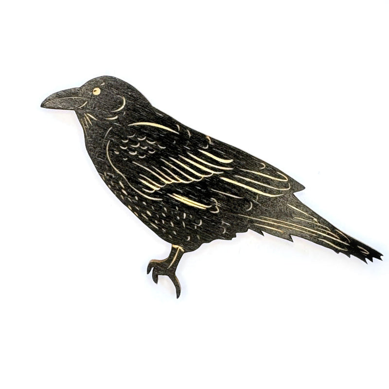 Pic of the Raven Magnet""