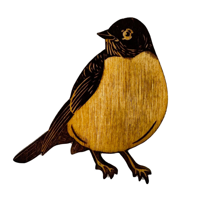 Pic of the Robin Magnet""