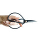 Steel Bonsai Style Scissors